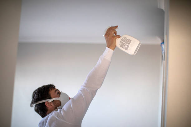 Best Post-Remediation Services in Anchor Point, AK